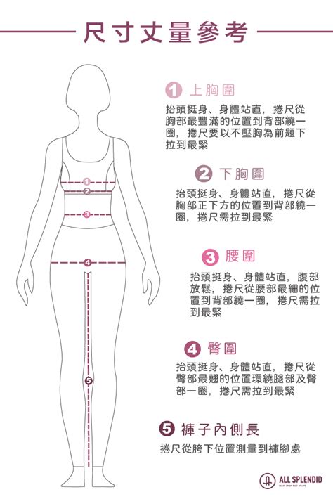 臀圍標準女|腰圍怎麼量？腰圍換算尺寸表、胸圍、臀圍怎麼量一次看